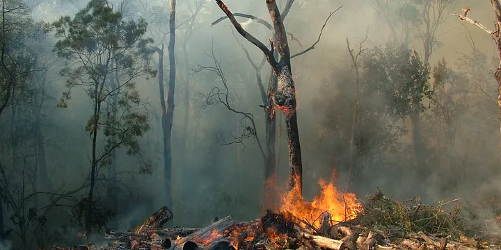 klimawandel-ursachen-folgen-loesungen